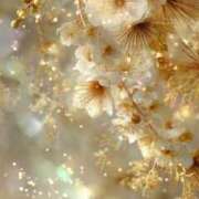 ヒメ日記 2026/01/15 20:31 投稿 るい エンブレイス　ダイヤモンド