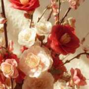 ヒメ日記 2026/01/18 12:55 投稿 るい エンブレイス　ダイヤモンド