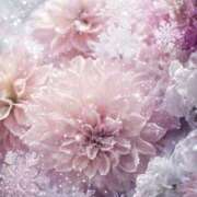 ヒメ日記 2026/02/13 19:03 投稿 るい エンブレイス　ダイヤモンド