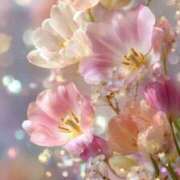 ヒメ日記 2026/02/27 21:20 投稿 るい エンブレイス　ダイヤモンド