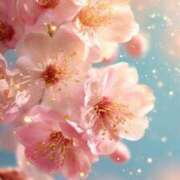 ヒメ日記 2026/03/07 14:01 投稿 るい エンブレイス　ダイヤモンド