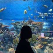 ヒメ日記 2025/03/29 09:56 投稿 あみ Picasso(ピカソ)