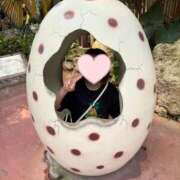 ヒメ日記 2025/03/30 07:56 投稿 あみ Picasso(ピカソ)