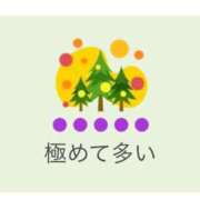 ヒメ日記 2025/03/27 11:48 投稿 ナナミ Celeb Garden(セレブガーデン)