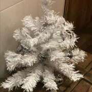 ヒメ日記 2024/12/20 10:00 投稿 加賀美（かがみ） 熟女の風俗最終章 名古屋店