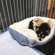 ヒメ日記 2025/02/18 19:20 投稿 加賀美（かがみ） 熟女の風俗最終章 名古屋店