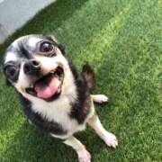 ヒメ日記 2025/02/25 00:29 投稿 加賀美（かがみ） 熟女の風俗最終章 名古屋店