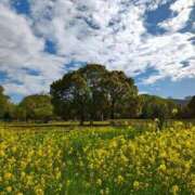 ヒメ日記 2025/05/01 17:40 投稿 林 西船橋おかあさん