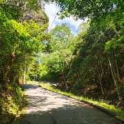 ヒメ日記 2025/06/09 14:20 投稿 林 西船橋おかあさん