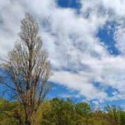 ヒメ日記 2025/09/18 07:50 投稿 林 西船橋おかあさん