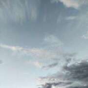 ヒメ日記 2025/10/27 15:20 投稿 林 西船橋おかあさん