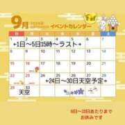 ヒメ日記 2024/08/20 10:58 投稿 らん 天空のマット