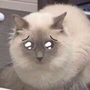 ヒメ日記 2025/04/07 16:17 投稿 しぃ デリワゴン in りふれっしゅ