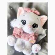 ヒメ日記 2025/10/16 14:15 投稿 すい デリワゴン in りふれっしゅ