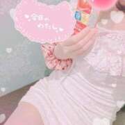 ヒメ日記 2025/01/22 11:05 投稿 立花　あい しこたま奥様 札幌店