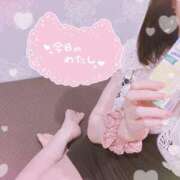 ヒメ日記 2025/02/11 12:45 投稿 立花　あい しこたま奥様 札幌店