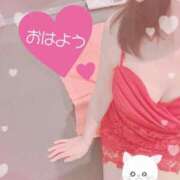 ヒメ日記 2025/02/26 12:05 投稿 立花　あい しこたま奥様 札幌店