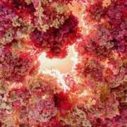 ♡ルミ♡ おやすみなさい(  ¯꒳​¯ )ᐝ ラブ♡エル