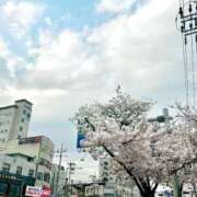 秋川 美月 花は桜、君は美し🌸 テレジア大阪