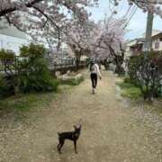 ヒメ日記 2024/04/09 13:14 投稿 りぃな いざ候 別館