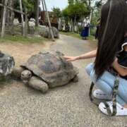 ヒメ日記 2024/05/30 11:34 投稿 りぃな いざ候 別館