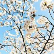 ヒメ日記 2025/04/02 21:47 投稿 麗奈(れな)♥魅せる！オトナ美女 美魔女コレクション