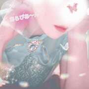 ヒメ日記 2025/05/14 07:55 投稿 麗奈(れな)♥魅せる！オトナ美女 美魔女コレクション