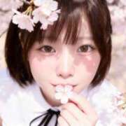 ヒメ日記 2026/04/01 15:04 投稿 リオ マドンナ(仙台)