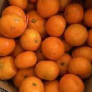 ヒメ日記 2024/12/15 12:18 投稿 ☆みみ(23)☆ ◆プラウディア◆AAA級素人娘在籍店