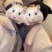 ヒメ日記 2025/11/25 19:08 投稿 ☆みみ(23)☆ ◆プラウディア◆AAA級素人娘在籍店