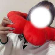 ヒメ日記 2025/12/31 10:28 投稿 ☆みみ(23)☆ ◆プラウディア◆AAA級素人娘在籍店