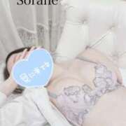 ヒメ日記 2025/06/01 09:51 投稿 仁科そらね アロマピュアン錦糸町（シンデレラグループ）