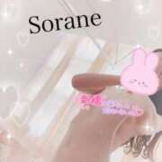 ヒメ日記 2025/11/07 07:47 投稿 仁科そらね アロマピュアン錦糸町（シンデレラグループ）