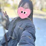 ヒメ日記 2025/02/08 12:11 投稿 ルリ 1ROUND