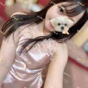 ヒメ日記 2025/02/11 13:07 投稿 ルリ 1ROUND