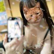 ヒメ日記 2025/02/12 08:34 投稿 ルリ 1ROUND