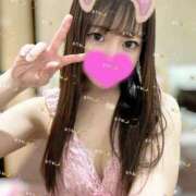 ヒメ日記 2025/02/22 16:18 投稿 ルリ 1ROUND