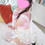 ヒメ日記 2025/02/23 06:45 投稿 ルリ 1ROUND