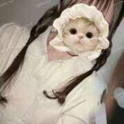 ヒメ日記 2025/03/10 16:53 投稿 ルリ 1ROUND