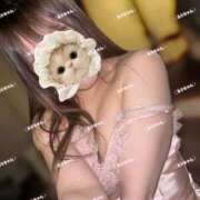 ヒメ日記 2025/03/25 08:49 投稿 ルリ 1ROUND