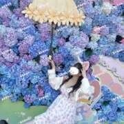 ヒメ日記 2025/04/15 08:42 投稿 ルリ 1ROUND