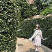 ヒメ日記 2025/04/24 18:22 投稿 ルリ 1ROUND