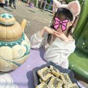 ヒメ日記 2025/07/27 21:52 投稿 ルリ 1ROUND