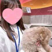 ヒメ日記 2025/11/29 15:42 投稿 ルリ 1ROUND