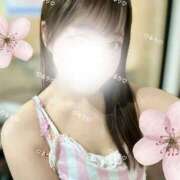 ヒメ日記 2026/03/17 13:12 投稿 ルリ 1ROUND