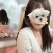 ルリ 20時までいるにょーん( ˶  ᷇𖥦 ᷆ ˵ ) 1ROUND