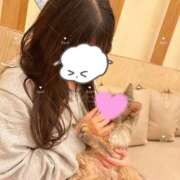 ルリ やっちまった 1ROUND