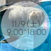 ヒメ日記 2024/11/04 22:03 投稿 きらり 横浜しこたまクリニック