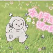 ヒメ日記 2025/04/03 16:25 投稿 きらり 横浜しこたまクリニック