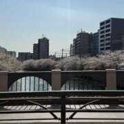 ヒメ日記 2025/04/09 18:03 投稿 きらり 横浜しこたまクリニック